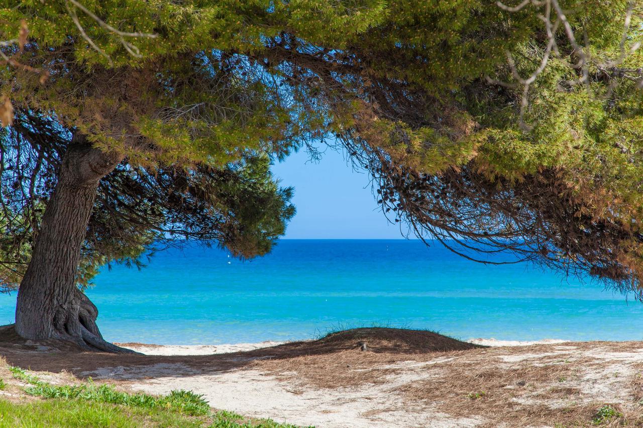 Вілла Formentera 2 Кан-Пікафорт Екстер'єр фото